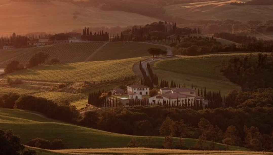 Brunello di Montalcino Tenuta Caparzo 2020