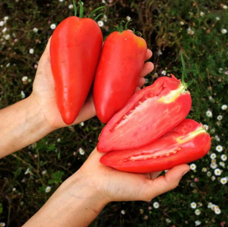 Alain Milliat Tomato Juice